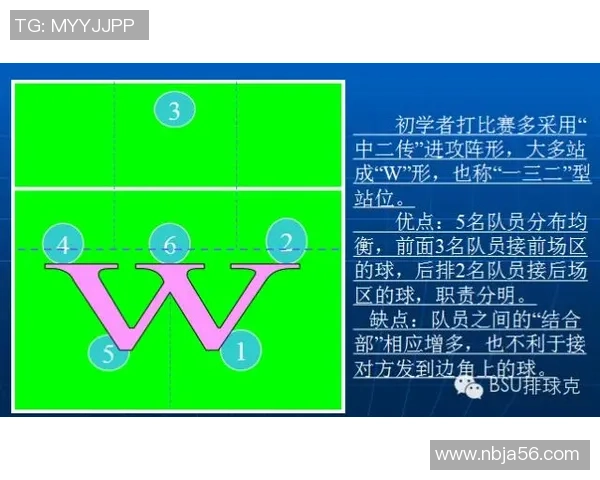 广州排球队的节奏分析与战术调整对比赛结果的影响探讨